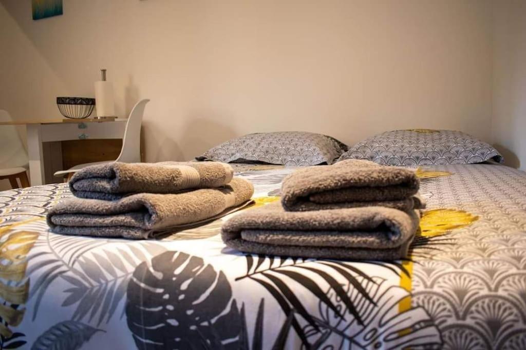 Studio Charmant Confortable Tv Centre Ville Лувье Экстерьер фото